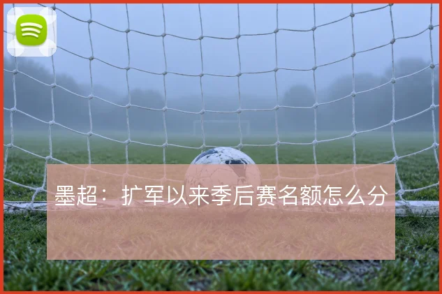 墨超：扩军以来季后赛名额怎么分
